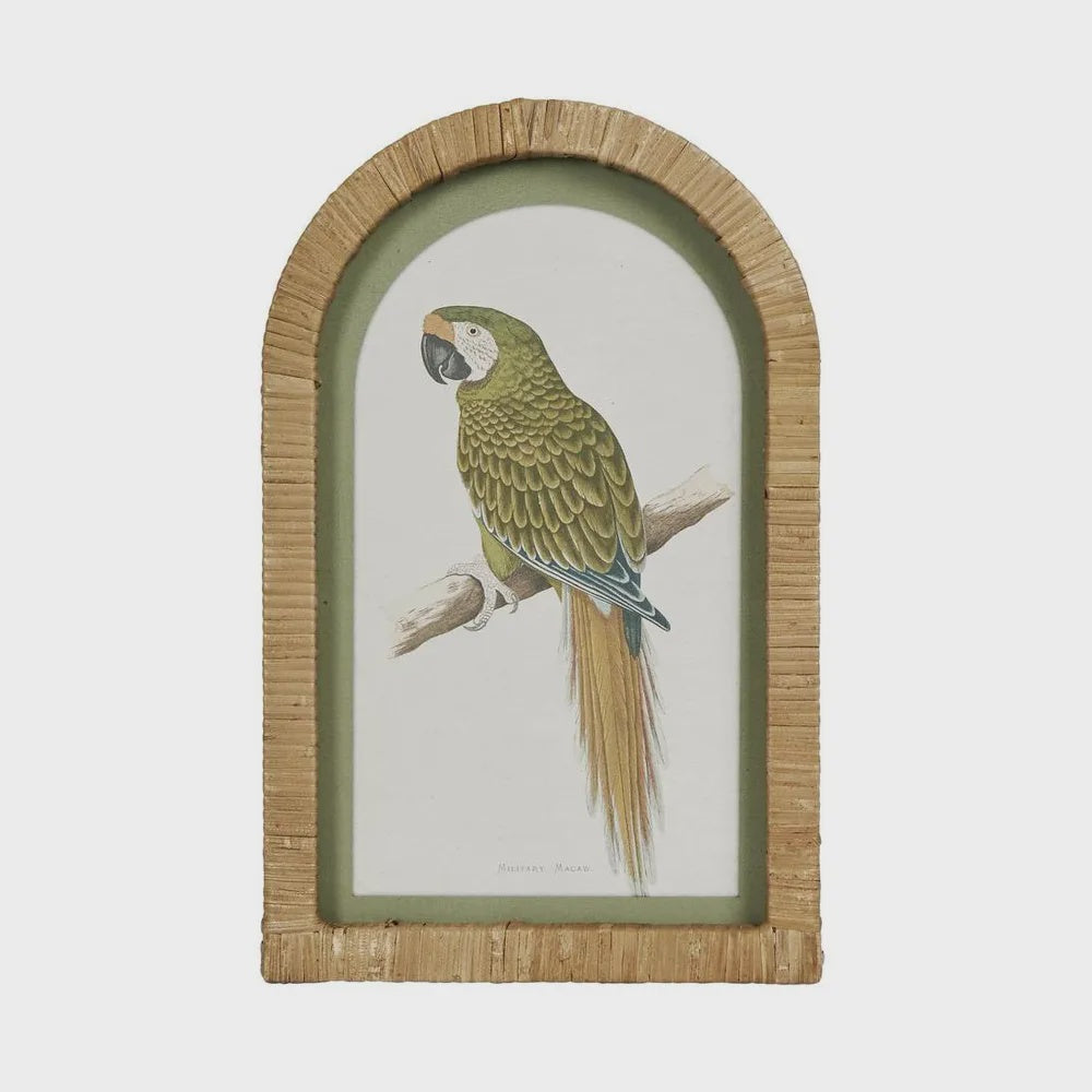 Parrot in Arch Frame - Green