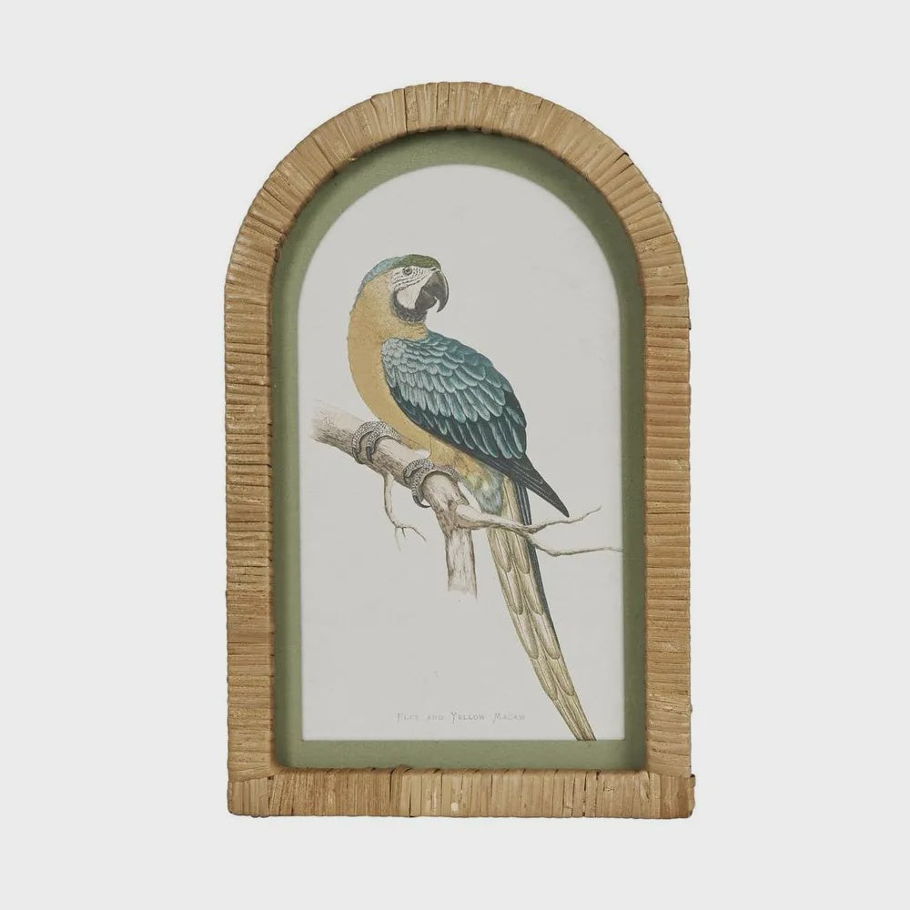 Parrot in Arch Frame - Blue