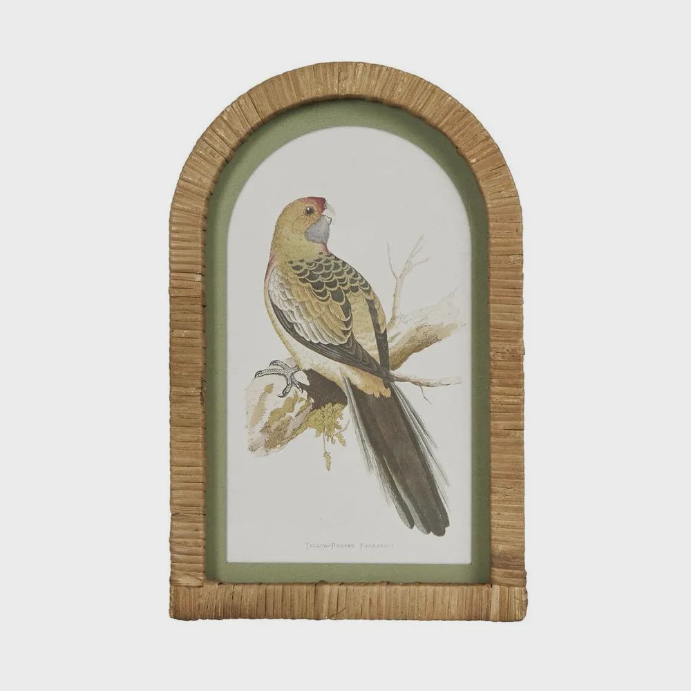 Parrot in Arch Frame - Brown