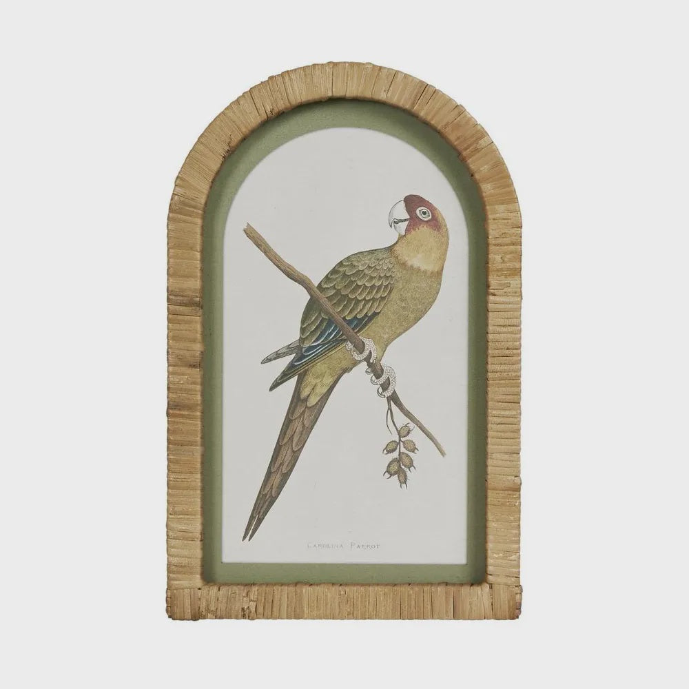 Parrot in Arch Frame - Olive