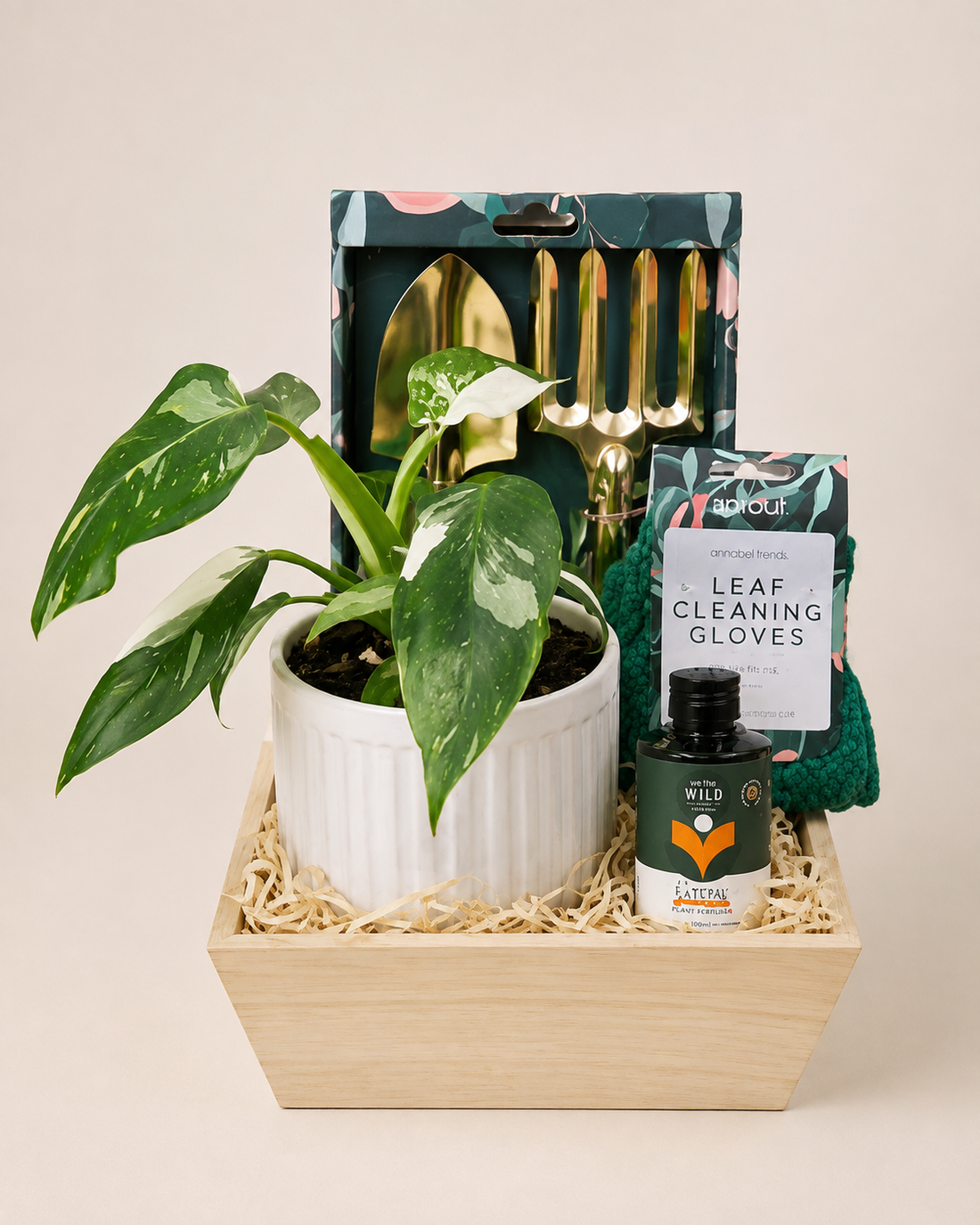 Petite Plant Lady Gift Hamper