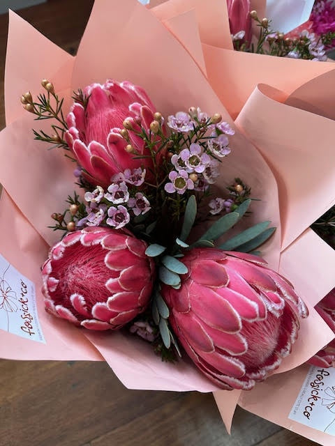 Protea Posy XL
