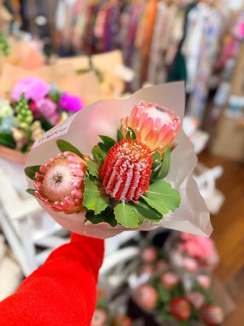 Protea &amp; Banksia Posy