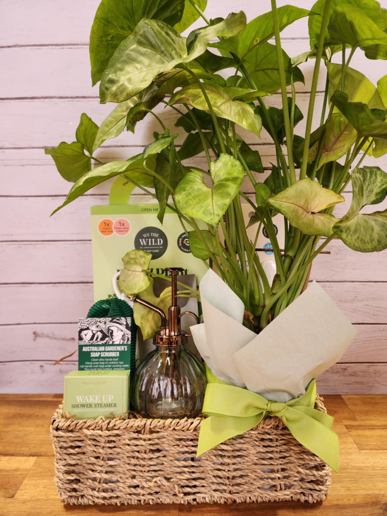 Proud Plant Parent Gift Hamper