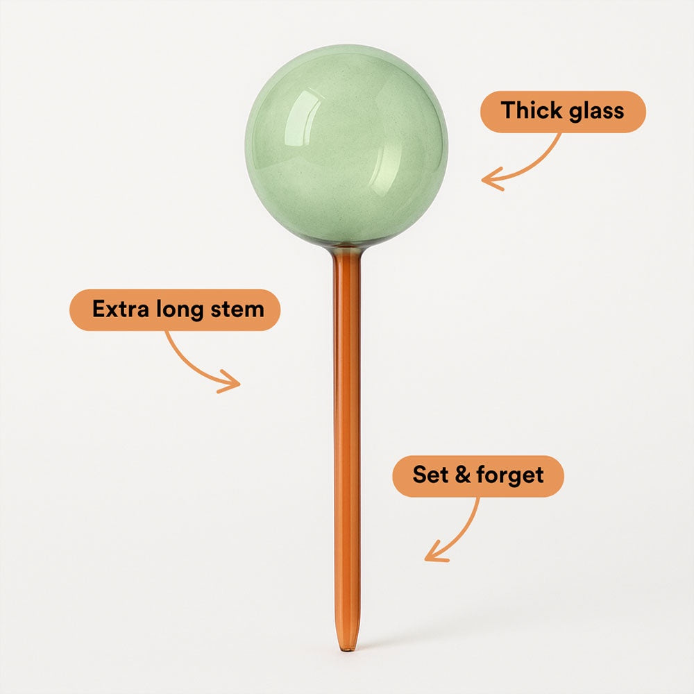Self Watering Plant Globe