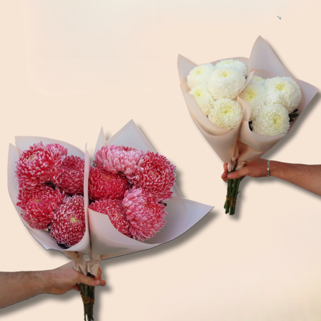 Snowball Disbud Posy - PRE-ORDER