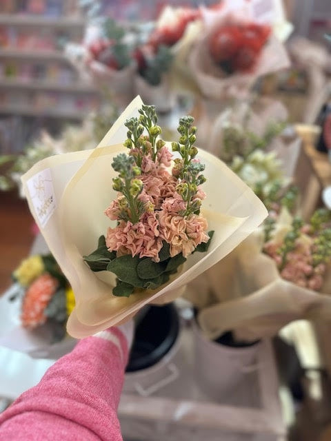 Stock Posy