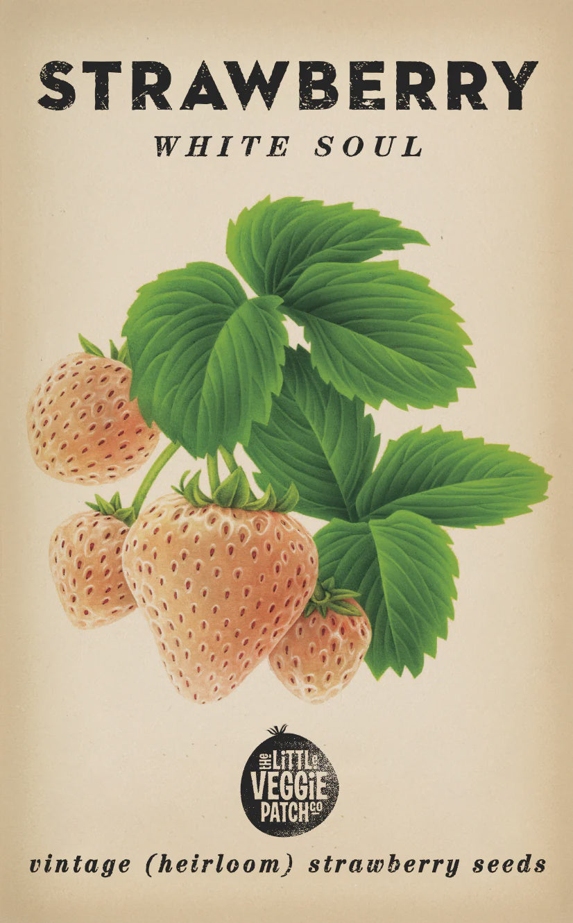 Strawberry "White Soul" Heirloom Seeds