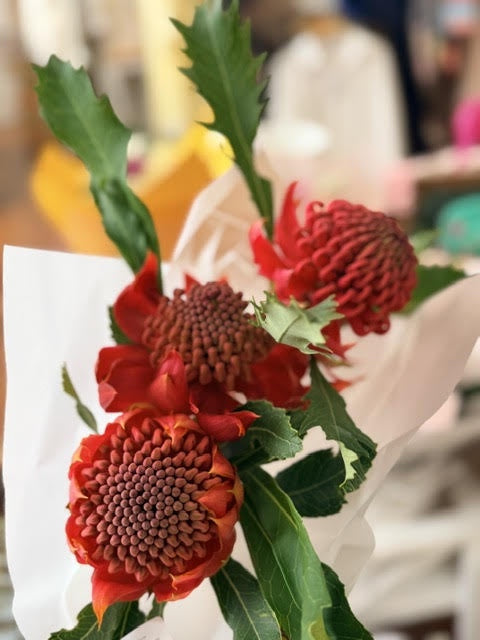 Waratah Bouquet