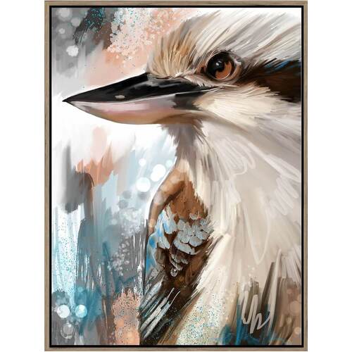 Kookaburra Framed Canvas Print