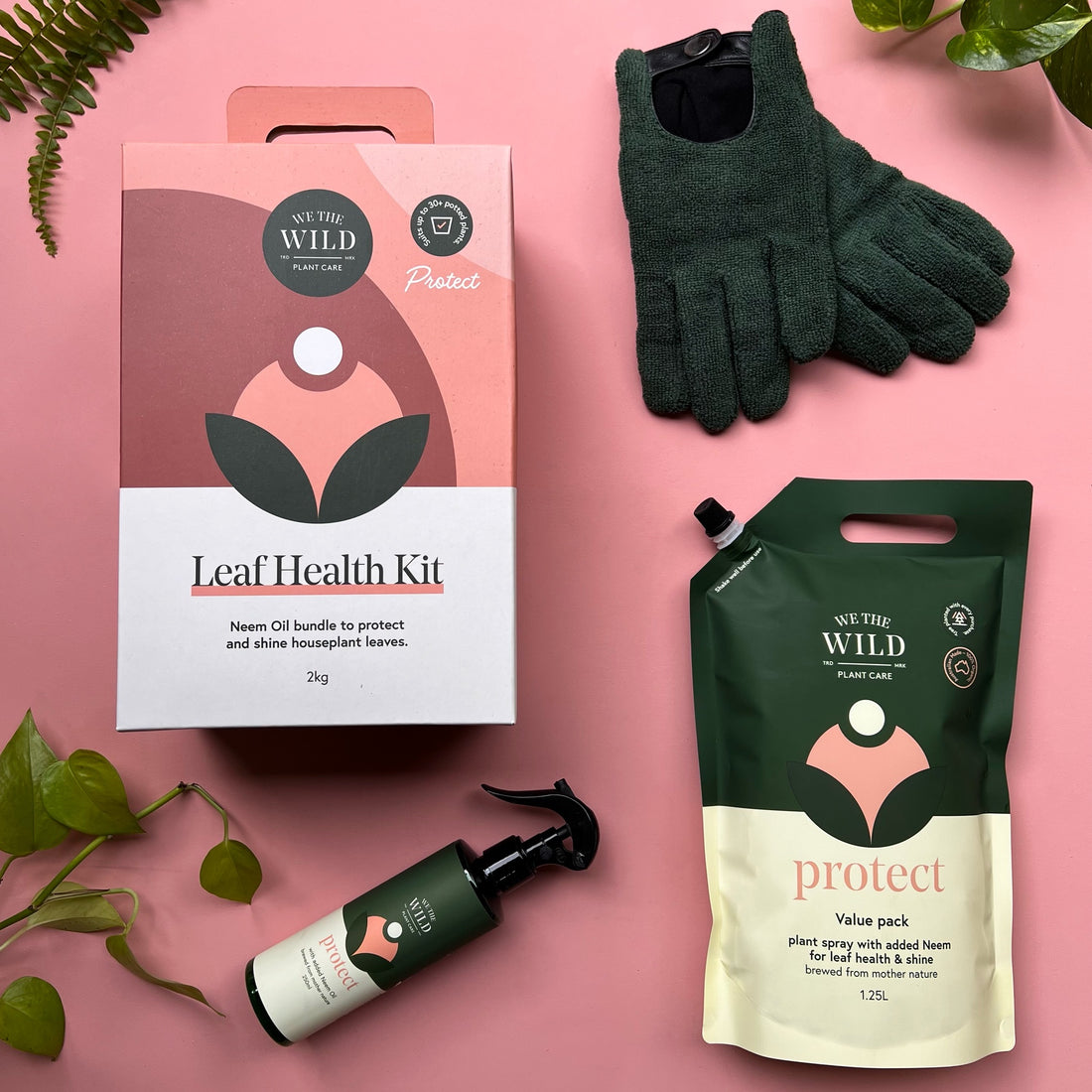 We the Wild Leaf Health Kit Carton