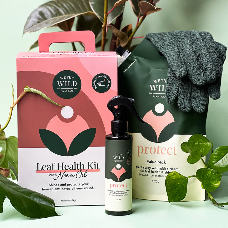 We the Wild Leaf Health Kit Carton