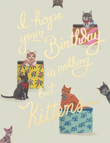 Nothing but Kittens Greeting Card