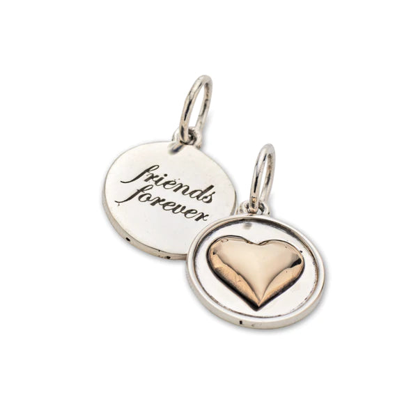 Silver+ bronze friends forever charm