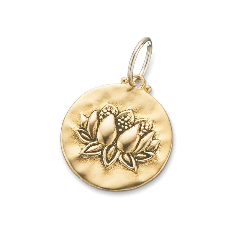 Silver+brass Lotus charm
