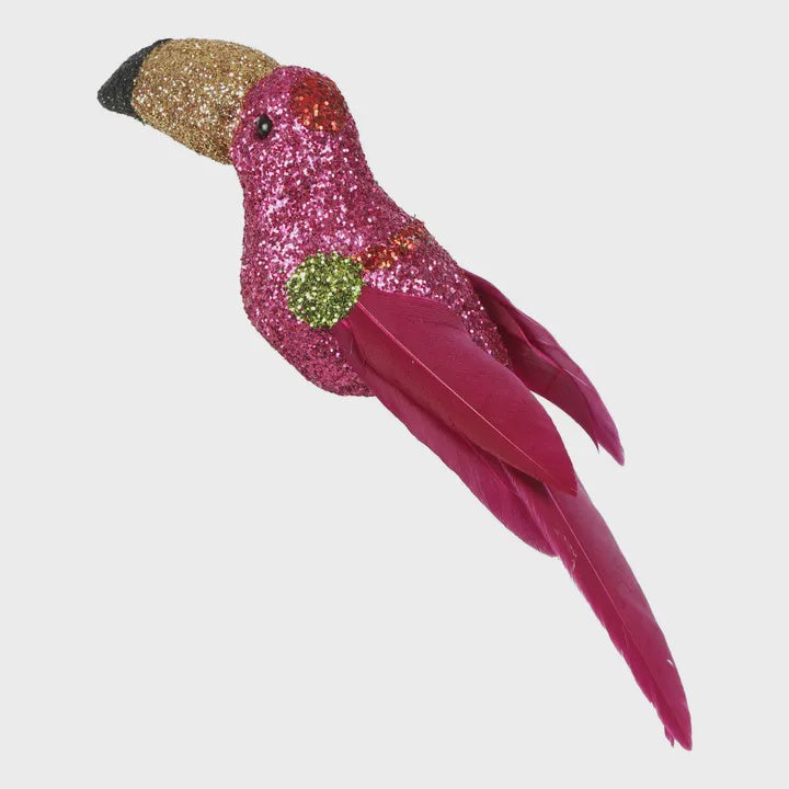 Shazza GlitterToucan Tree Clip